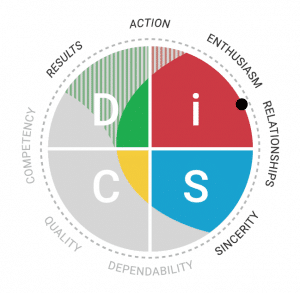 DiSC profile definition 